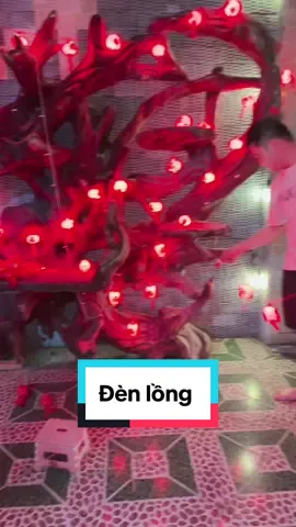 Sắm tết dần thôi mấy bà oi #denlong #denlongtet #dentreo #longdentreotet 