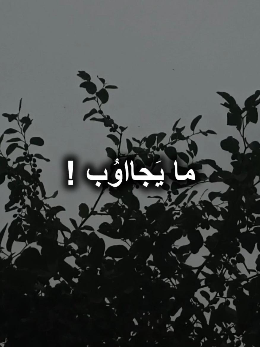 ما يجاوب يبجي سكته #تصویر #قصائد_حزينه #لطميات_حسينيه #لطميه #لطميات #باسم_الكربلائي #من_اسأله_ما_يجاوب #يبجي_سكته #قبل_وبعد 