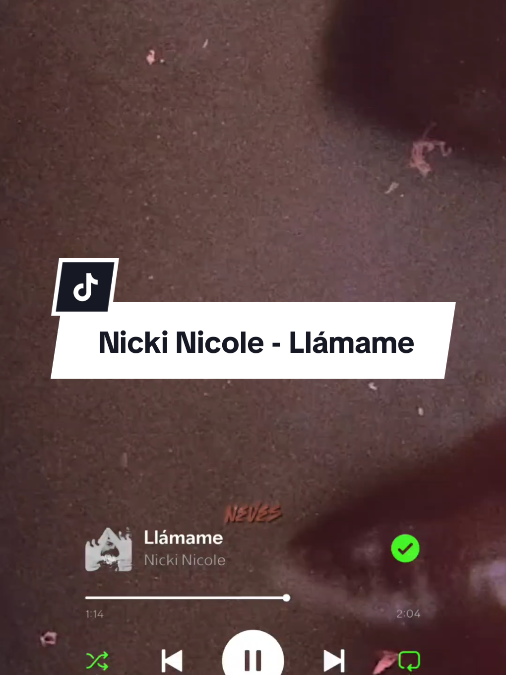 Llámame #nickinicole #llamame #musica #foryou #foryoupage 