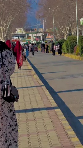 ✌️❤️🤩#alizay👻 