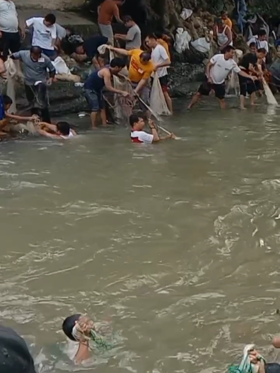 Jala do tebar ikan pun di dapat #fishingnet #fishing #jalaikan #jalaikandisungai 