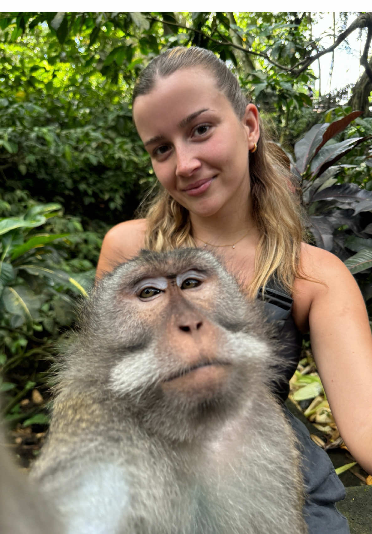 One of my favourite places in Bali 🐒 📍Sacred monkey forest, Ubud  #monkeyforest #ubudbali #thingstodobali #travel #monkeyforestbali 