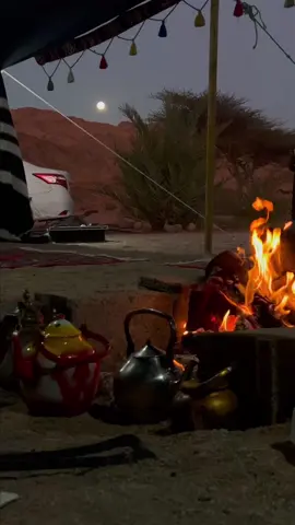 #نيوم_تبوك_الشمال 