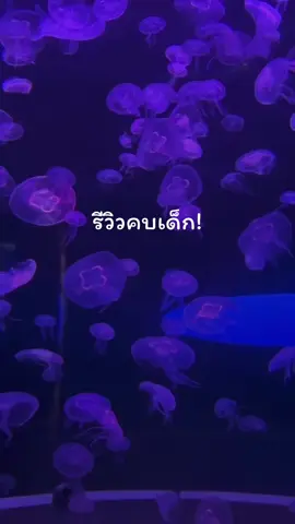 ป้อนหญ้าตลอด😵‍💫#ฟีดดดシ #เธรดคําพูด #แท็กเพื่อนมาดู #เธรดคนคลั่งรัก #ยืมลงสตอรี่ได้ 