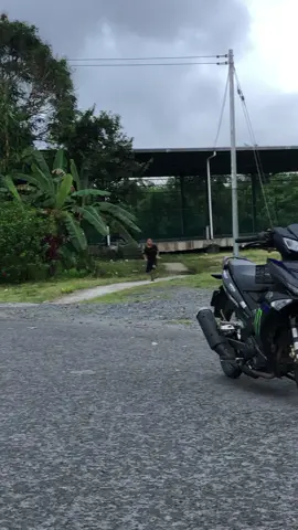 Tema apa tahun ni🤔? #fyp #y15zr @ℬ𝓞ℬ𝓐 ℳ𝓞𝓚 @wanss 