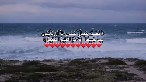#قران #مقاطع_دينيه #quran #صدقة_جارية #allah 