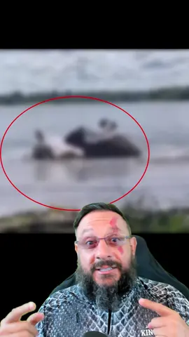 Mordida de capivara em menina e a transmissão da raiva humana #biologohenrique #animais