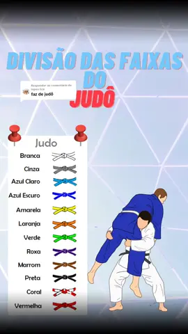 A responder a @lopes.lice  Divisão de faixa do #judo  #creatorsearchinsights 
