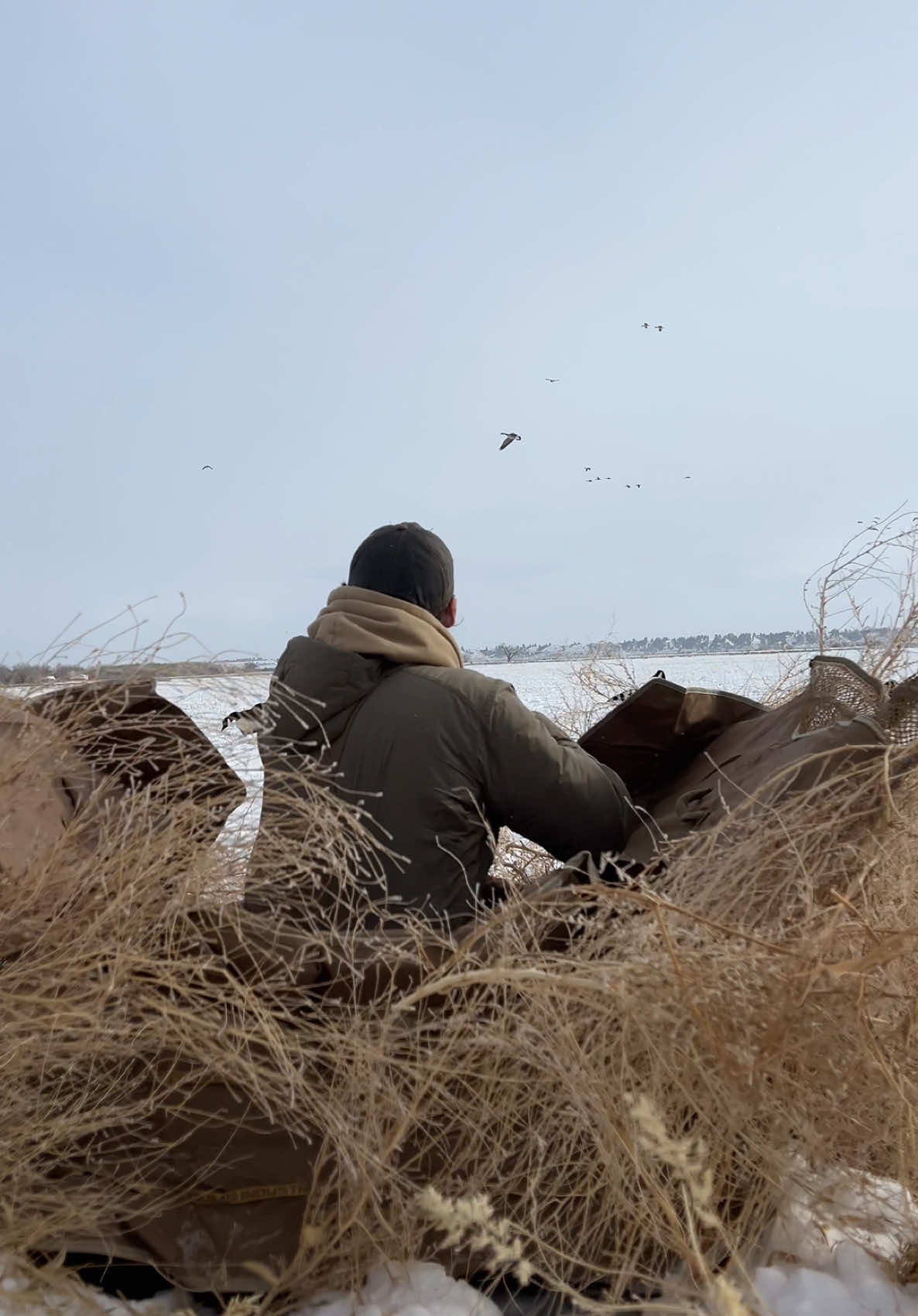 🔥 SEASON END CLOSEOUT SALE! 🔥 Massive savings of up to 50% OFF on our top-selling gear are LIVE! 💰 Don’t miss your chance to grab must-have items like the lowPRO Layout Blind, Kickback Field Chair, Ghillie Blankets, Airweight Jackets, Merino Base Layers, EXO Jackets & Vests, Canada Silhouettes, Snow Goose Socks, Decoy Bags, and so much more—all at unbeatable prices!  ⚡️ Inventory is limited, and once it’s gone, it’s gone—so act fast! Gear up now for the end of this season or get ready for next fall while the deals last. Shop now at divebombindustries.com! #seasonend #hugecloseouts #massivesavings #waterfowlgear #unbeatableprices