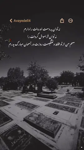 روزت در آسمان ها مبارک بابا جونم 🖤😭