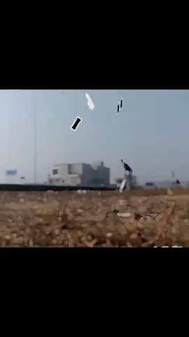 DANI BRAND 1♥️✨.#fypage #criketlover #foryou #fypシ #DB #