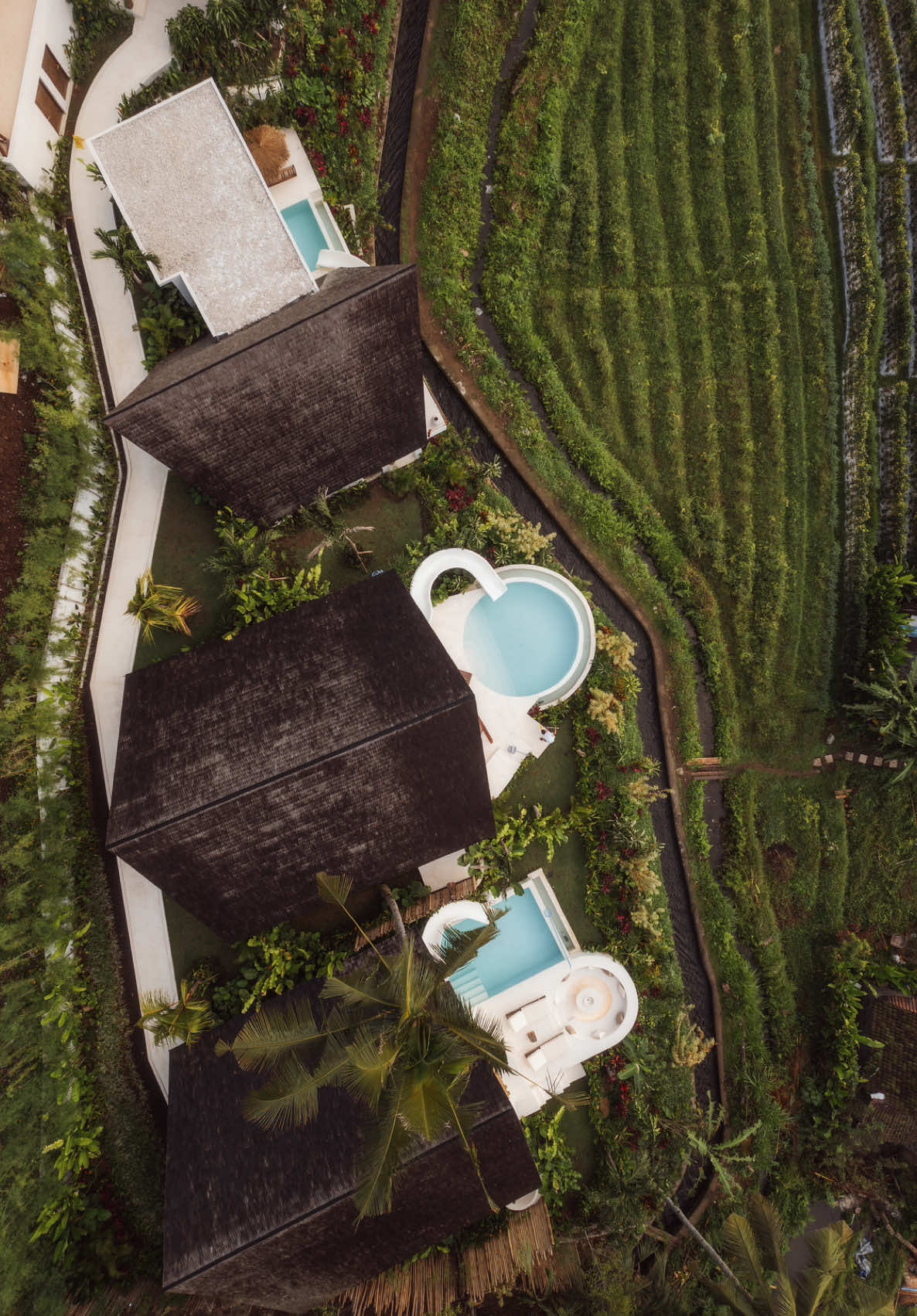Welcome to NUMA Bali ✨  A stunning resort in Sidemen with breathtaking views of the rice terraces and volcano. Our beautiful three villas feature private pools with slides, a luxurious spa, a restaurant, and a state-of-the-art gym. #numabali #stayatnumabali #roomwithaview #baliretreat #traveltiktok #travelgoals #traveltips #travelhacks #luxurylifestyle #resortlife #luxurystay #resortlife #travelvibes #tiktokexplore #sidemen #airbnb #travelling #visitbali #traveltok #fyppp 