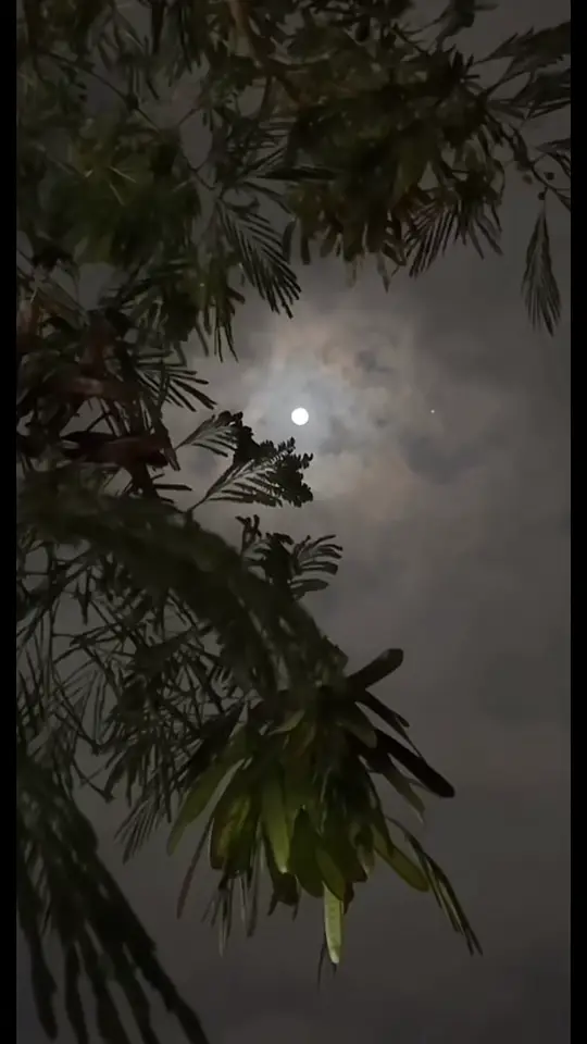 #💔💔💔🥹🥹foryoupage #imissyoup #imissyoupa🥹🥹💔 