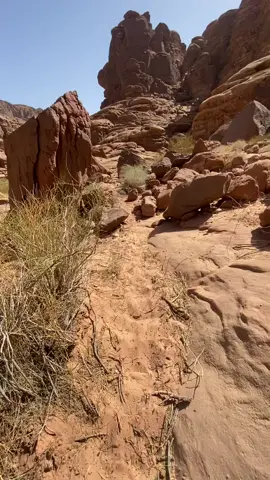 #شتاءتبوك بجده@#الشعب_الصيني_ماله_حل 