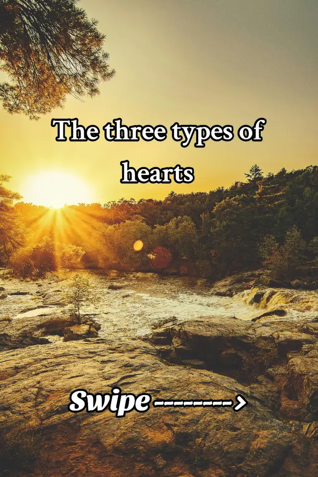 The three types of hearts! Which one do you feel you have? #fyp #foryoupage #islam #soul #heart 