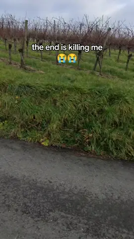 what the flip? #foryou #habosbabos #habos #babos #viral #meme 