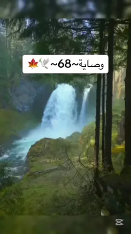 #foryou #قران #اكسبلور #راشد_حليبة #ابن_عثيمين #b2001141 #دعاء #fyp #viralvideo 