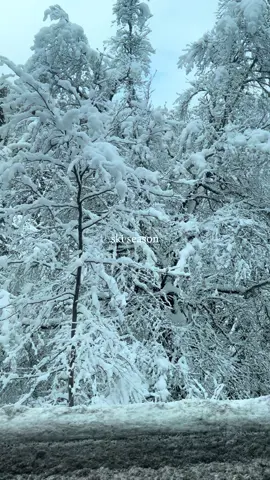 🏔️🤍❄️🩵