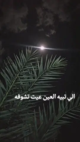 #تدرون #ويش #مضيق #الصدر #شيلات_فخمة❤️ #اكسبلور #ليك_متابعه_فولو #الشعب_الصيني_ماله_حل😂😂 #تكتك_مشاهير #تجمع_مشاهير_تيك_توك 