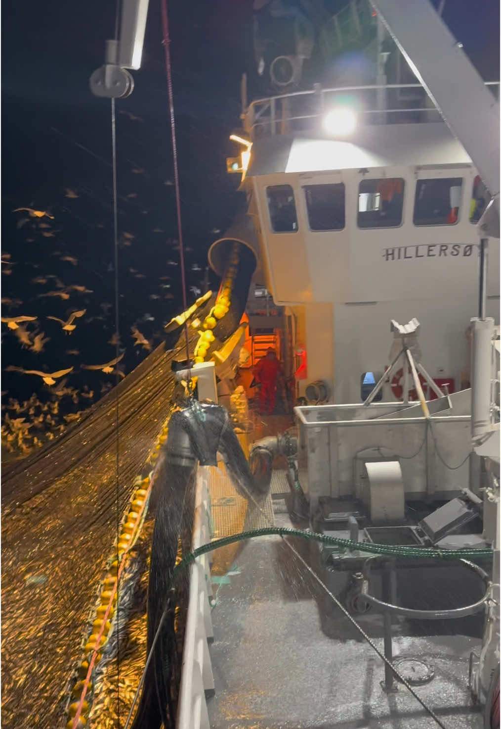 🐟🐟🐟                         #lifeatsea #fishingvessel #commercialfishing #fishtok #fishing #fishinglife #fiske #norway #fyp #fish #fiskebåt #purseseiner #fisherman #4upage #forupage #herring #sild #nvg #nvgsild #whale #whalewatching #nature #ocean #humpbackwhales #sea #seafood 