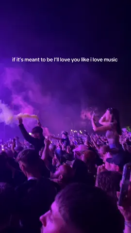 #oasis #fyp #thestoneroses🍋 #🐊 #noelgallagher #foryou #foryo #music #Love#him#festival#gig#concert#foryouu