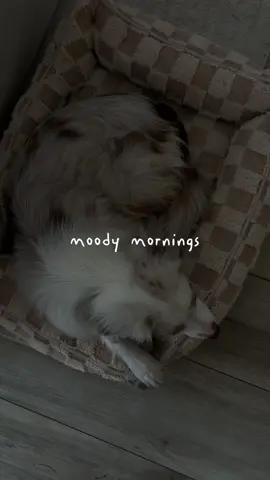 Monday mood 🥱 #mondaymood #monday 