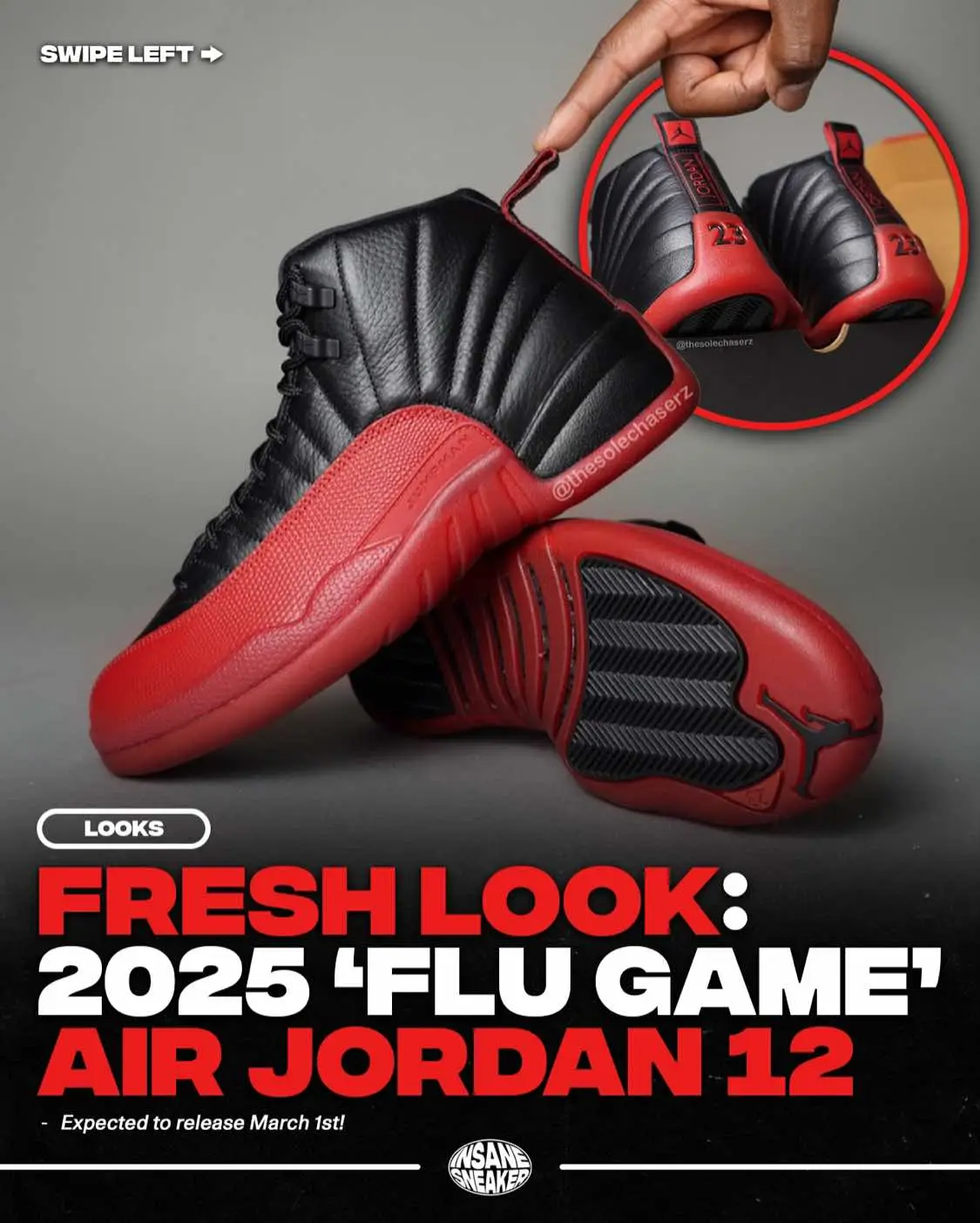 Fresh Look at the 2025 Air Jordan 12 
