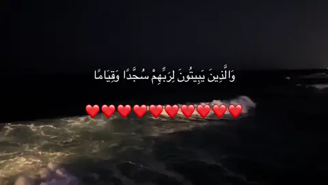 #اكسبلورexplore #foryou #fypシ #f #قرآن 
