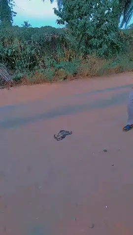 #boy