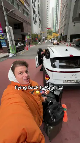 time for a lil visit back to amurica CAW CAWWW 🦅 *yells in patriotism* 