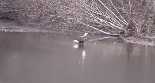 #canada_life🇨🇦 #canadatiktok #canadiancheck #canadian