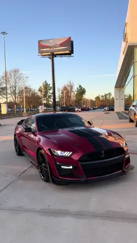 🚨SOLD🚨 This 2021 Shelby GT500 is SOLD 2nd time selling this vehicle! I love keeping my clients close!  Give me a call! Let’s make your dreams a reality!  ☎️832.622.5004☎️ _________________ #gt #mustang #shelby #ford #s #shelbygt #mustanggt #fordmustang #fordperformance #v #americanmuscle #mustangfanclub #cars #cobra #musclecar #mustangs #carsofinstagram #fordracing #svt #r #mustangsofinstagram #coyote #shelbymustang #supercharged #carswithoutlimits #carporn #musclecars #car #mustanglife #only 