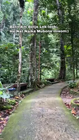 Lo molok nane Bae☺#nttpride🏝🔥fypシviral #ntt #fyp #viralsound #viral2025 #lagudwan #kefa 