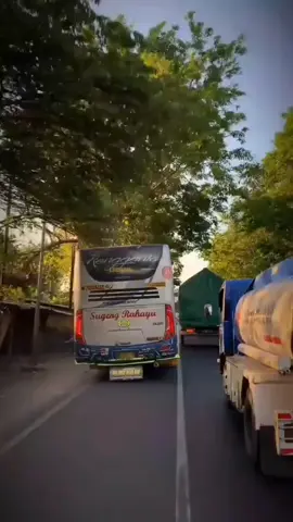 PO Bus #sugengrahayu  ketika jam mepet #sumberkencono #kardusbalap🤙🤙 #pelurumalam #busjawatimuran #sumbergroup #fyp #jawatimur #viral 