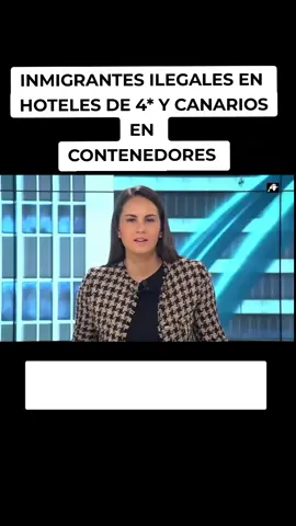 @Alba Vila 