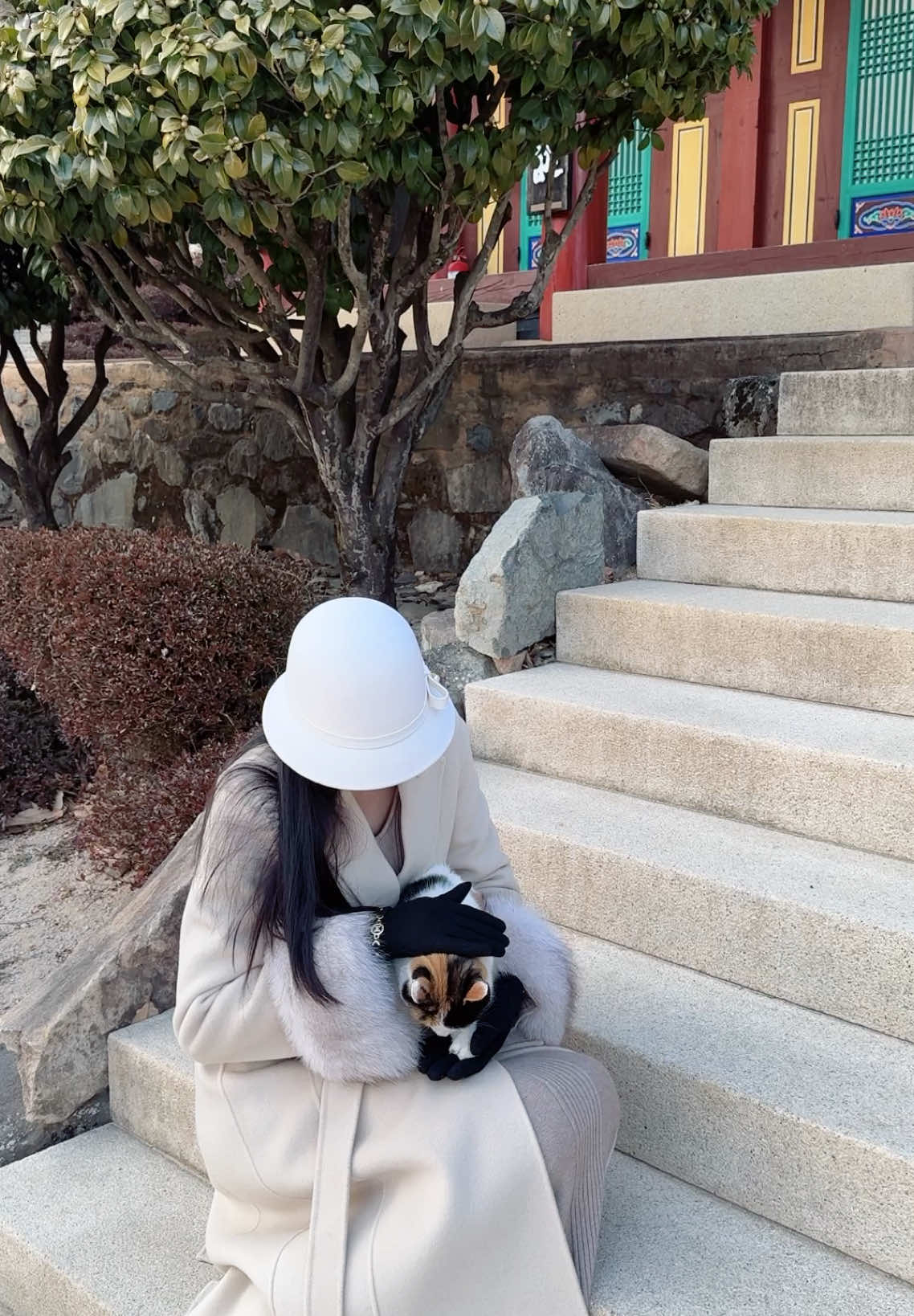 Bé mèo được nuôi ở chùa, đáng yêu quá đi💕