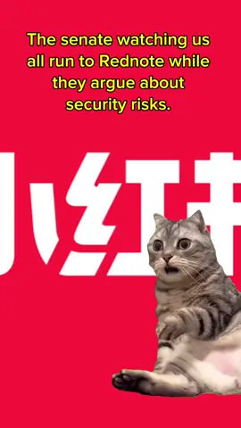 #Meme #MemeCut #memenatal 👀 #bettertogether #tiktokban #government #fyp 