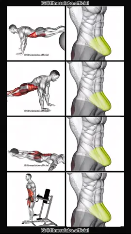 ✅ Lower Abs Workout  ① Pull-In ② Frogger  ③ Medicine Ball Lying Leg Raise ④ Ab Tuck  3 sets 15-20 reps  #Fitness #gym #exercise  #workout #workoutroutine  #exercisetips  #fitnesstips  #bodybuilding  #abs #absworkout 