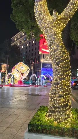 Đèn trang trí cuốn cây