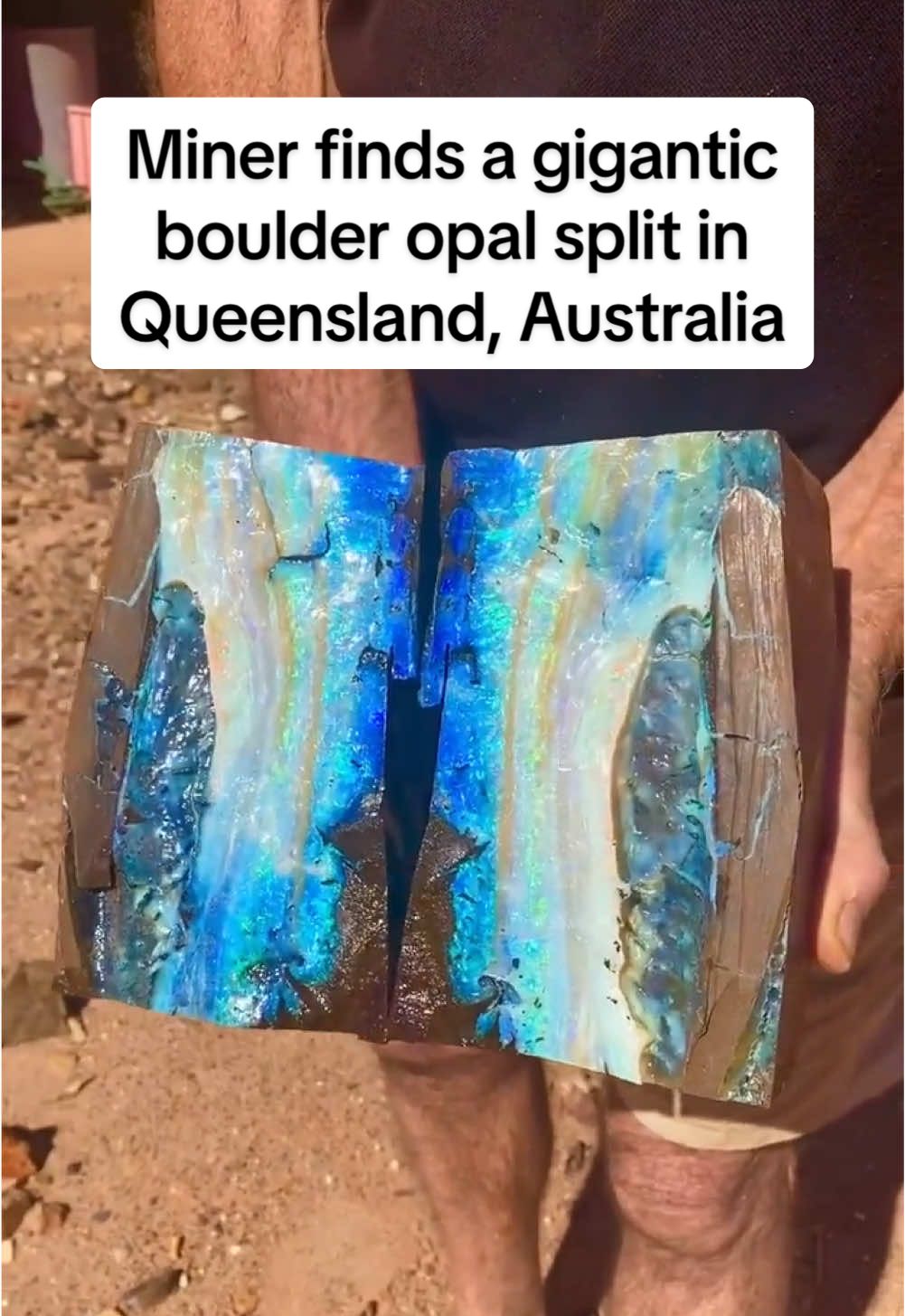 Miner finds a gigantic boulder opal split in Queensland, Australia #opal #australia #beauty #beautiful #rock #rocks #fyp #foryoupage #foryourpage 