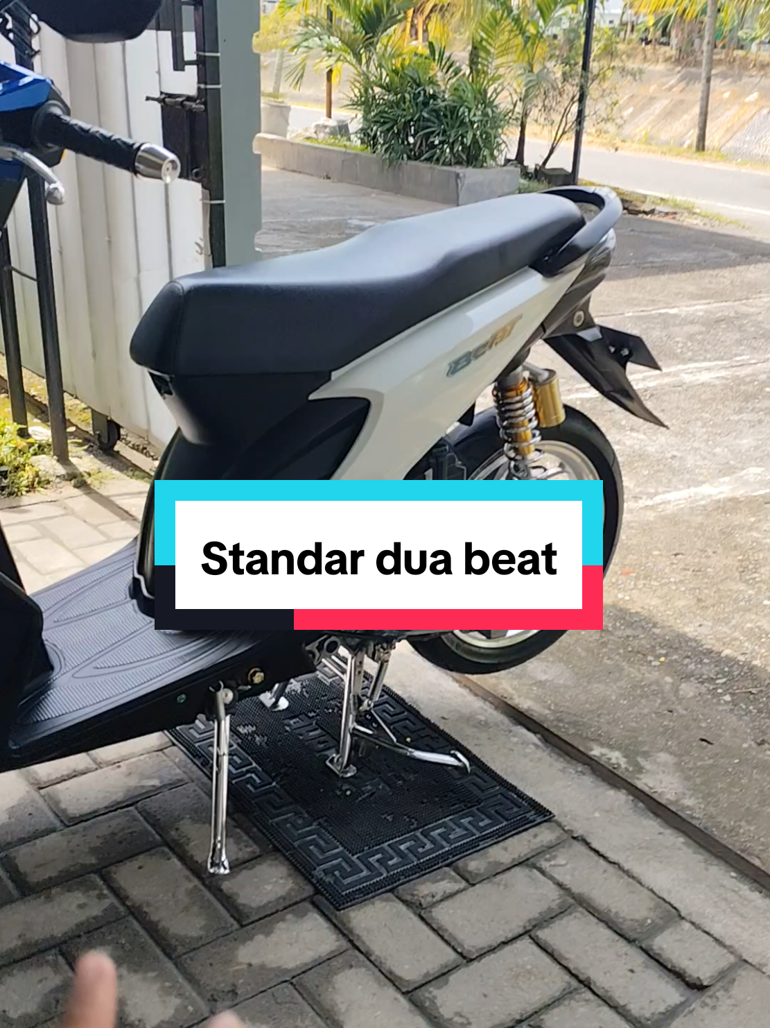 Standar dua beat#standarduabeatkarbu #standarduacrhoom #standarsamping #standarsampingbeat #beatmodifikasisimple👍👍 #berandafyp 