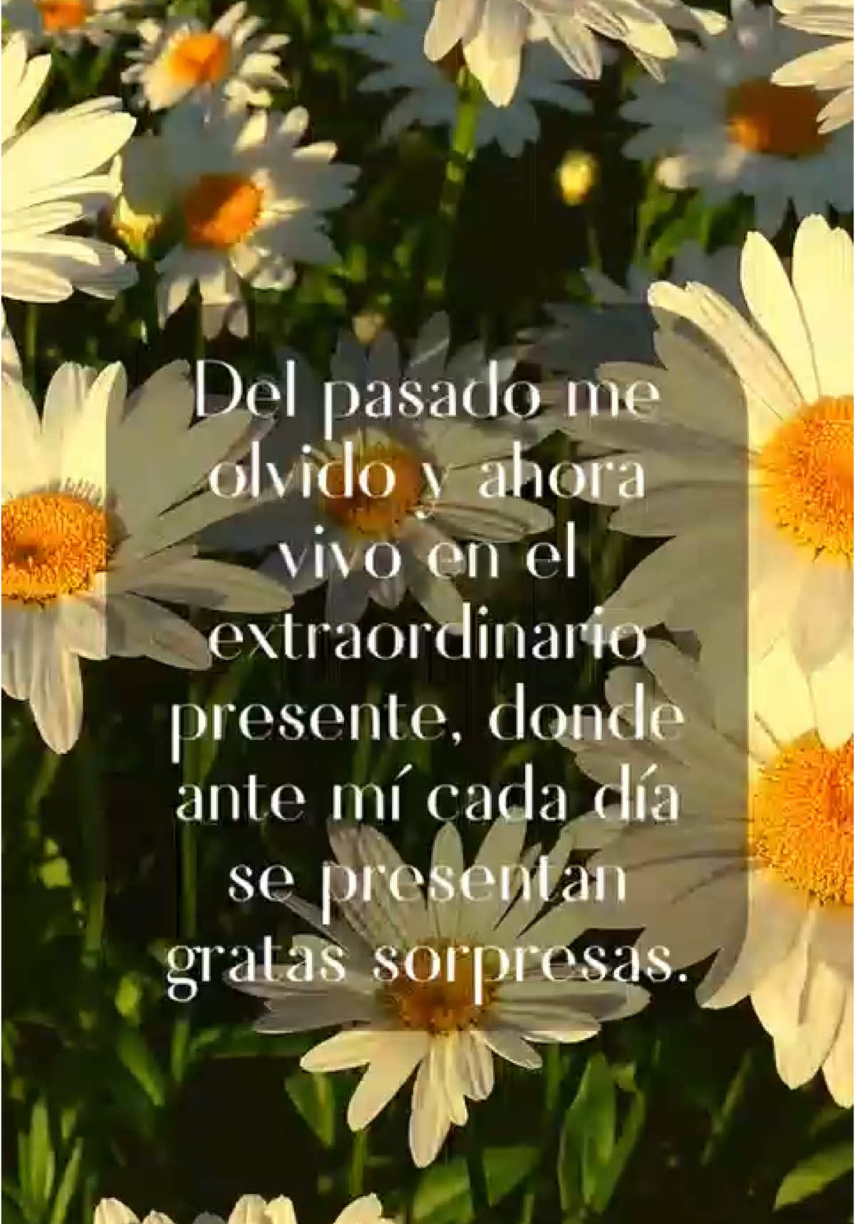 Metafísica 4 en 1 ♥️  -Florence Scovel Shinn  #decretosyafirmaciones #metafisica #reinadeloscódigossagrados #florencescovelshinn #libro #bajabarrerasyrecibe #bajabarrerasyexpandete #byepasado #aquiyahora #regalosdeluniverso #amor 