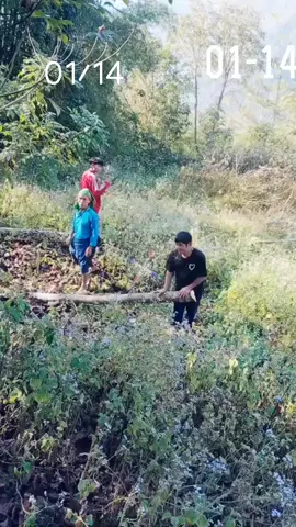 #CapCut #Okcapcutvelocity🌹❤️ 