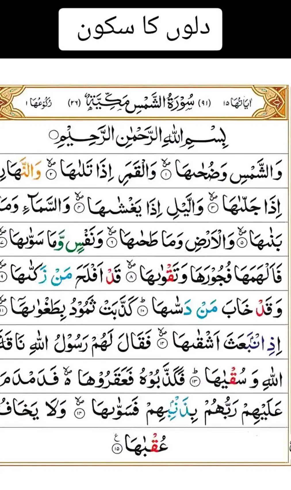 #fpy_tiktok_viral #islamic_video #viwesproblem #viral 
