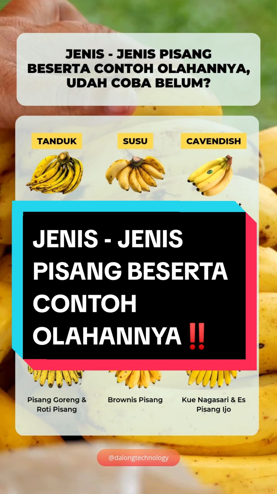 berbagai jenis olahan pisang, kalo kalian udah nyobain yang mana nih? #olahan #pisangcrispy #pisangcrispylumer #pisangcoklat #pisanggoreng #pisang #fy 
