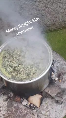 #kahramanmaraş  tirşik zamanı #tirşik #keşfet 