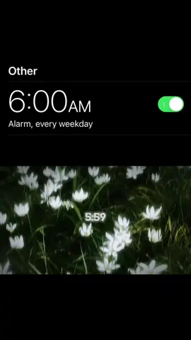 Dream...#dream #fyp #6am#chillvibe