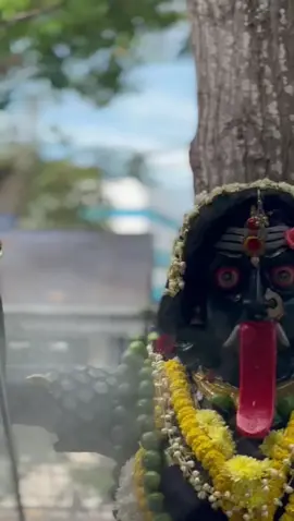 Looking into her eyes is like looking into the depths of the universe . May her strength , her love , her devotion , her fears and her spirit be reflected in us . Trust her 🔱🖤 #katteriamma #kapar #amma #blessed 