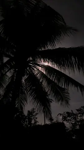 A beautiful night sky diri sa among bukid 🌙 #bukidlife #fyp #peacefulnight 