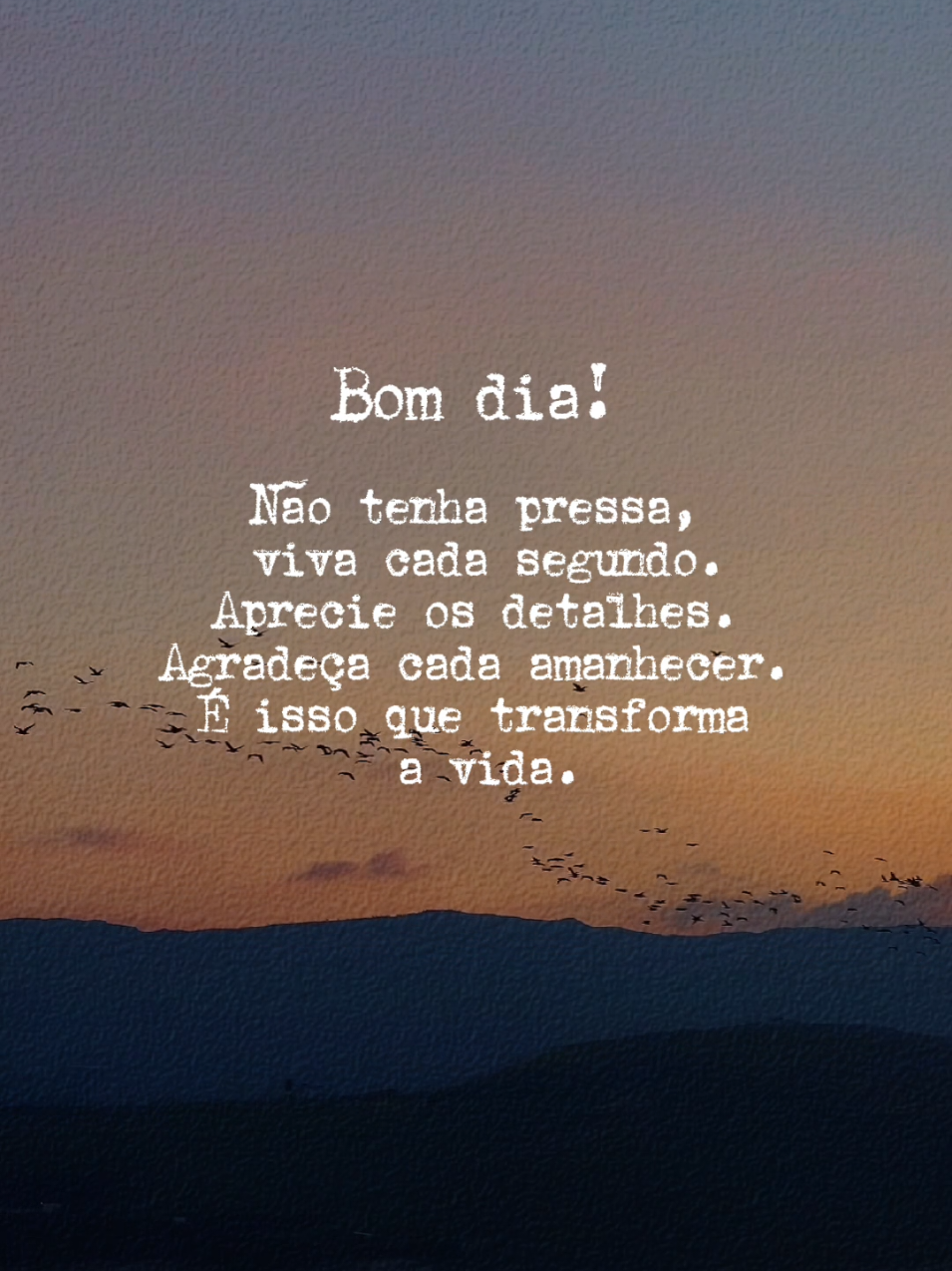 Bom dia! 💌#CapCutMotivacional #CapCut #bomdia #templatecapcut #template #reflexao #motivacao #frase #frasesparastatus #frasesdebomdia #beleza #natureza #inspiração 